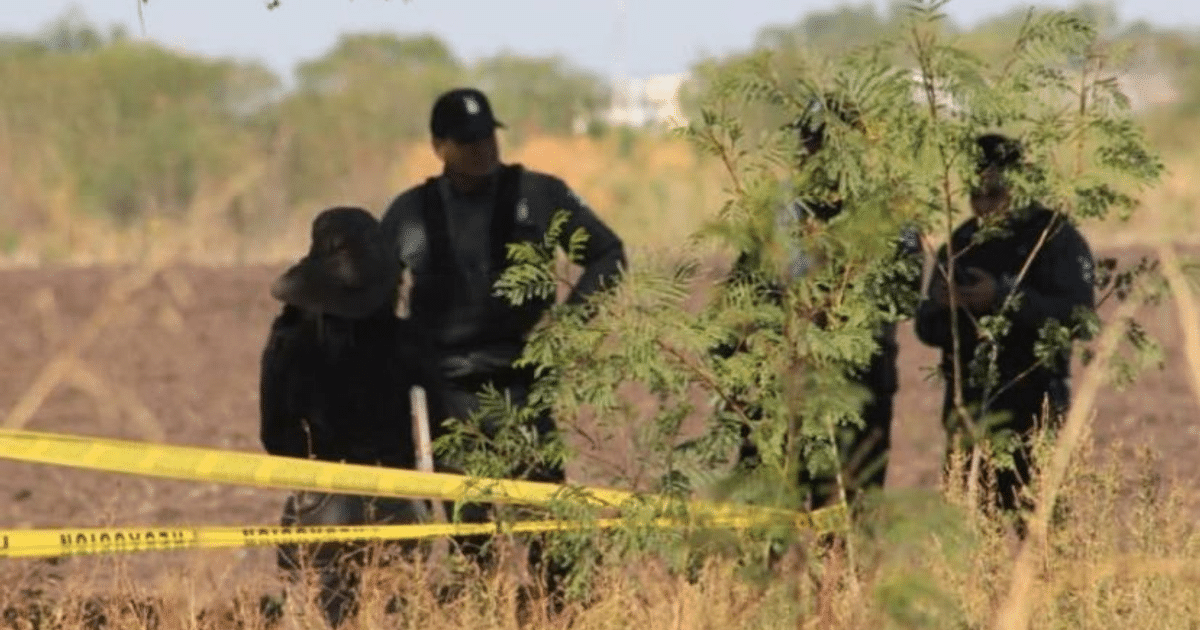 Personas en un campo con cinta amarilla de restricción, posiblemente en una investigación forense en El Bolillo.