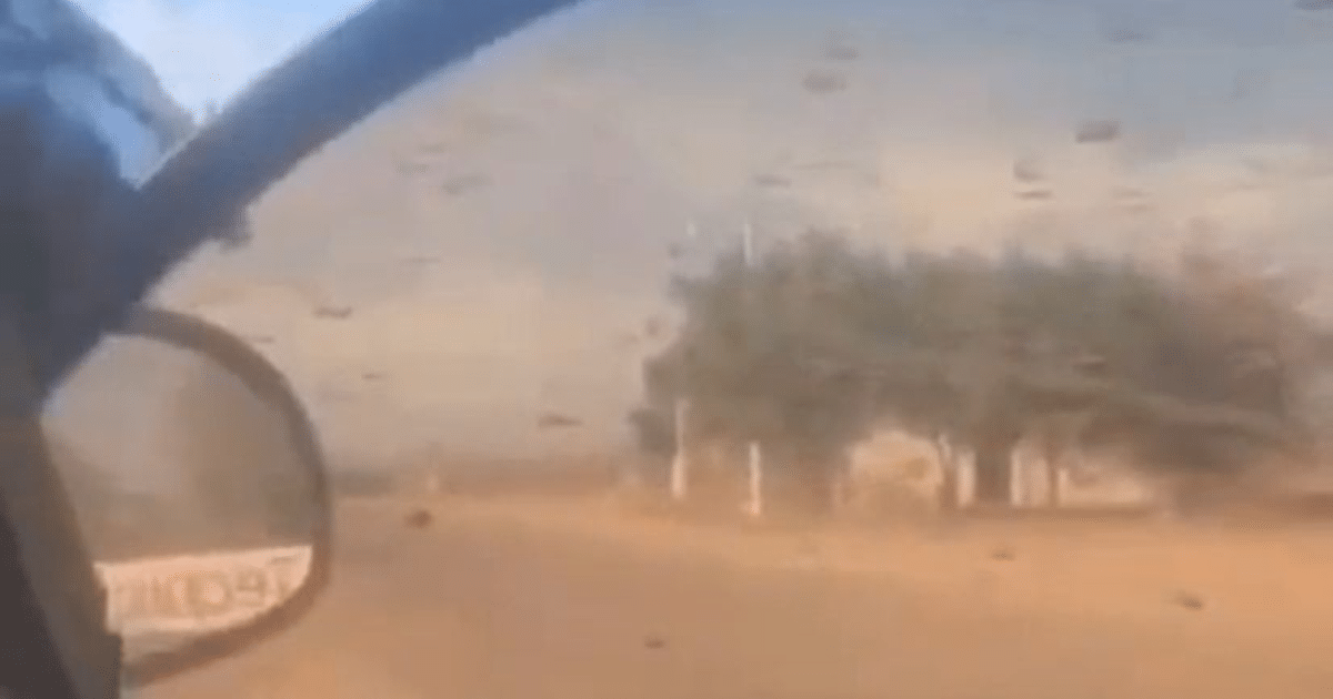 Vista desde un vehículo en movimiento con cristal polvoriento, árboles y carretera en Potrerillos del Norote.