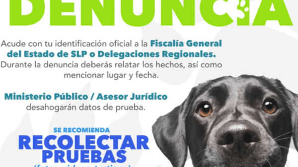 Cartel de denuncia en Fiscalía de SLP con imagen de perro, relacionado con envenenamiento animal en Guamúchil.