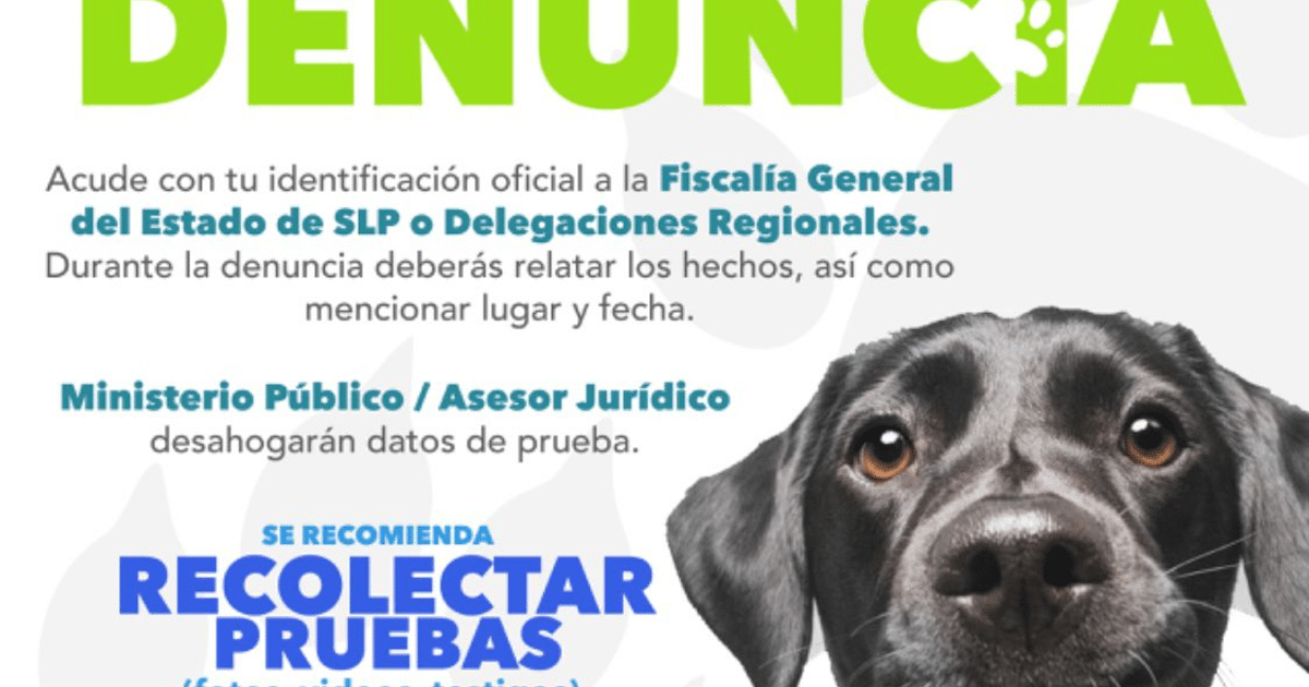 Cartel de denuncia en Fiscalía de SLP con imagen de perro, relacionado con envenenamiento animal en Guamúchil.