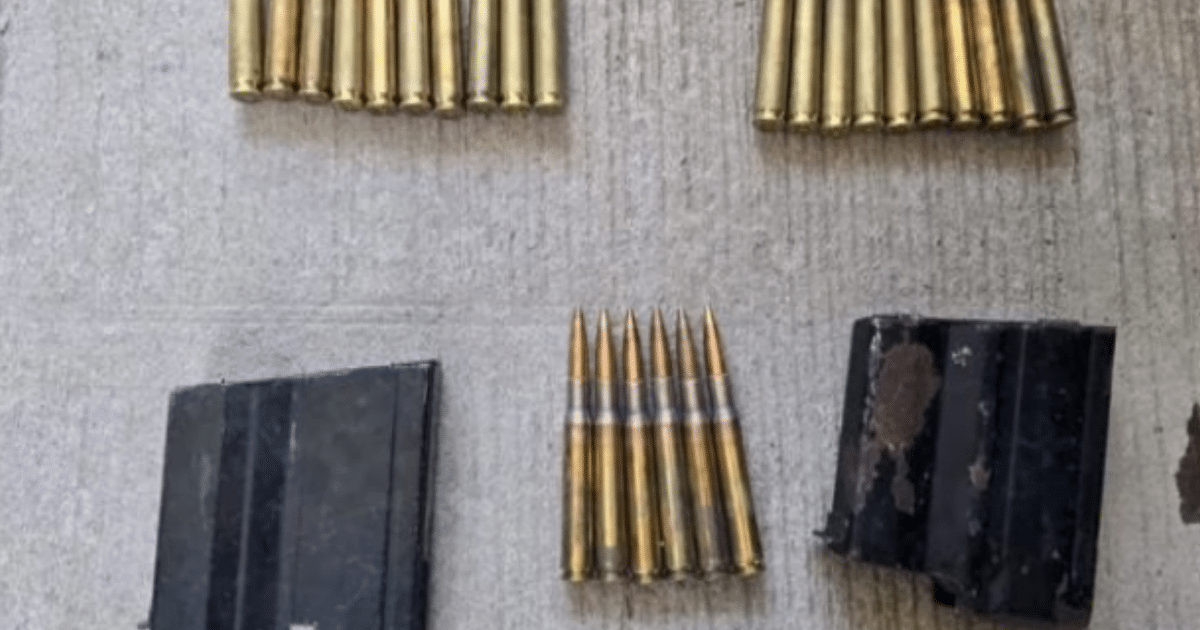 Cartuchos de bala y cargadores incautados en Escuinapa sobre fondo de concreto.