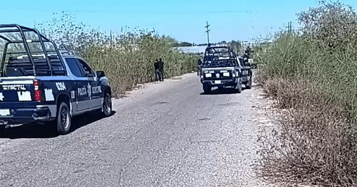 Camino rural con patrullas policiales y agentes de seguridad en investigación de feminicidio en Culiacán.