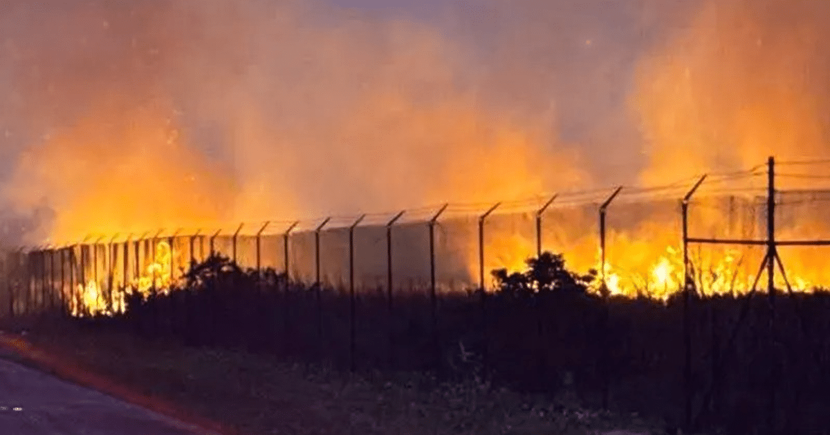 Incendio forestal '344 Fire' en Miami-Dade con llamas y humo visible, cerca y carretera a la izquierda.