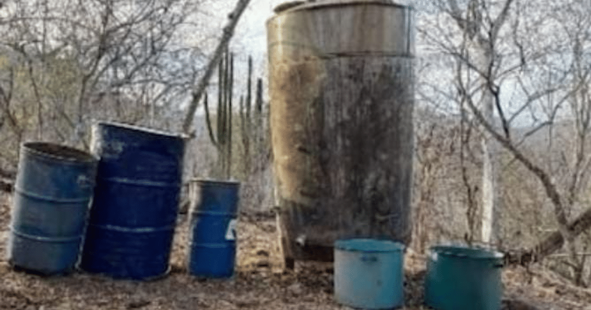 Barriles azules en entorno natural, relacionados con laboratorios clandestinos en Sinaloa.