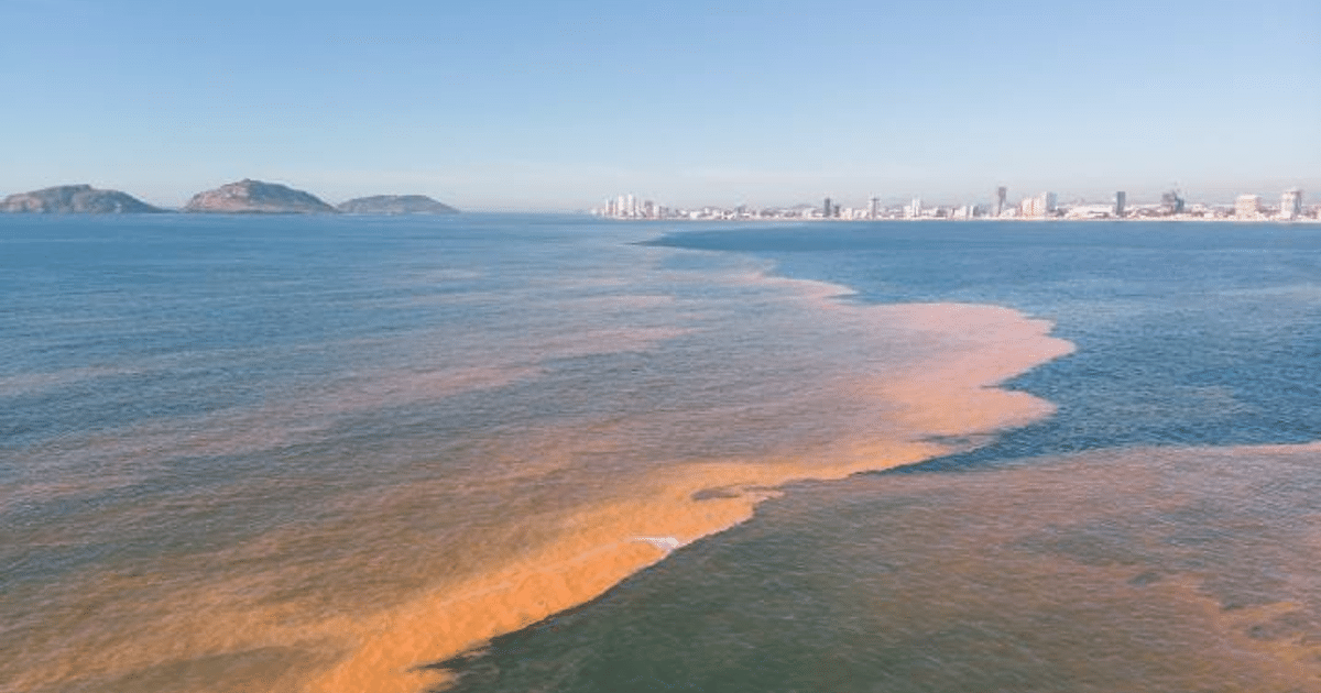 Vista del océano con marea roja en Mazatlán, islas y ciudad al fondo