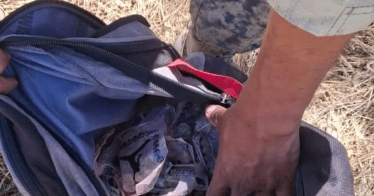 Mochila abierta con dinero y mano inspeccionando, en un entorno natural.