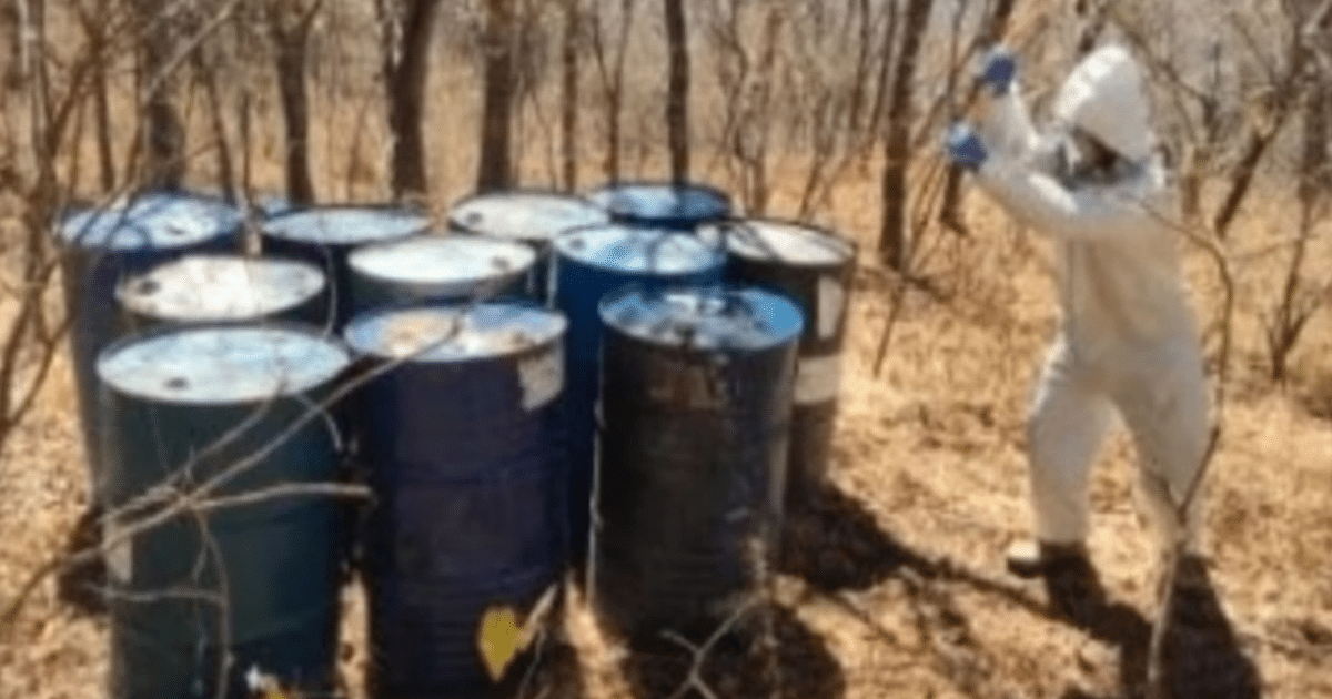 Persona en traje protector manipulando barriles en un área boscosa durante operativo en Sinaloa.