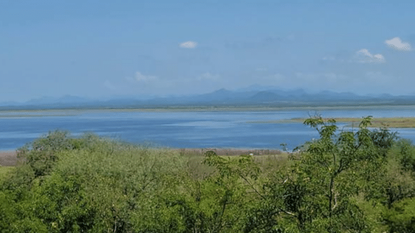 Vista de un lago rodeado de vegetación y montañas en Sinaloa, con un cielo despejado y nubes.