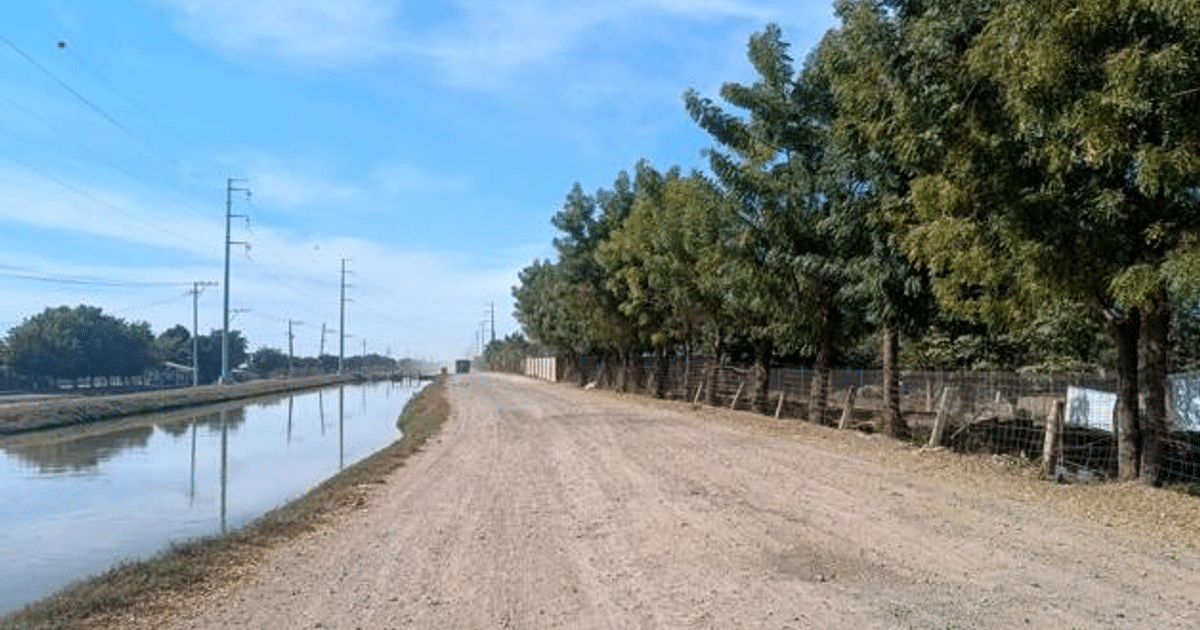 Paisaje rural con camino de tierra y canal de agua en Culiacán, árboles y postes eléctricos visibles.
