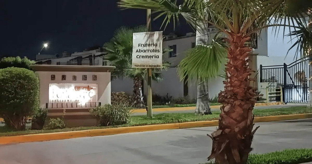 Calle nocturna en Culiacán con letrero de Frutería Abarrotes Cremería y palmeras en primer plano.