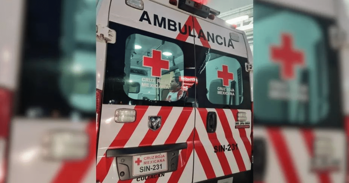 Ambulancia de la Cruz Roja Mexicana con franjas rojas y blancas y número SIN-231, relacionada con accidente en carretera 19.