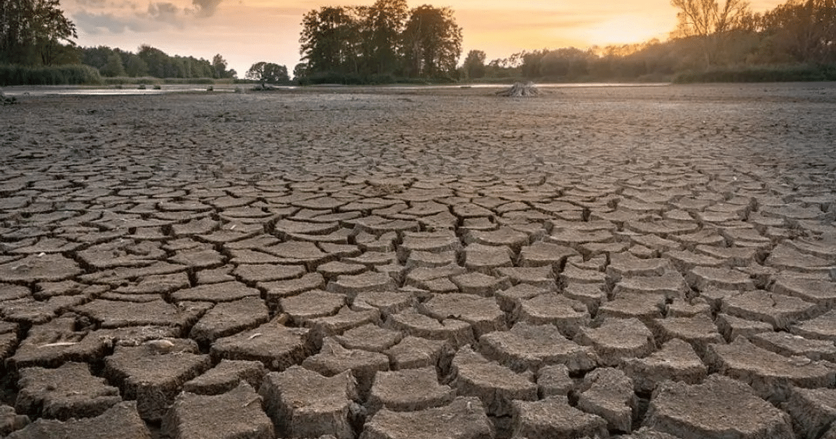 Paisaje seco y agrietado con árboles al fondo bajo un cielo despejado, simbolizando la crisis hídrica en Ahome.
