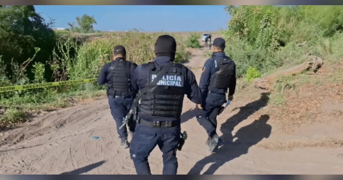 Policías municipales patrullando un camino de tierra en Navolato, Sinaloa, con chalecos tácticos y armas, rodeados de vegetación y cinta de advertencia amarilla.