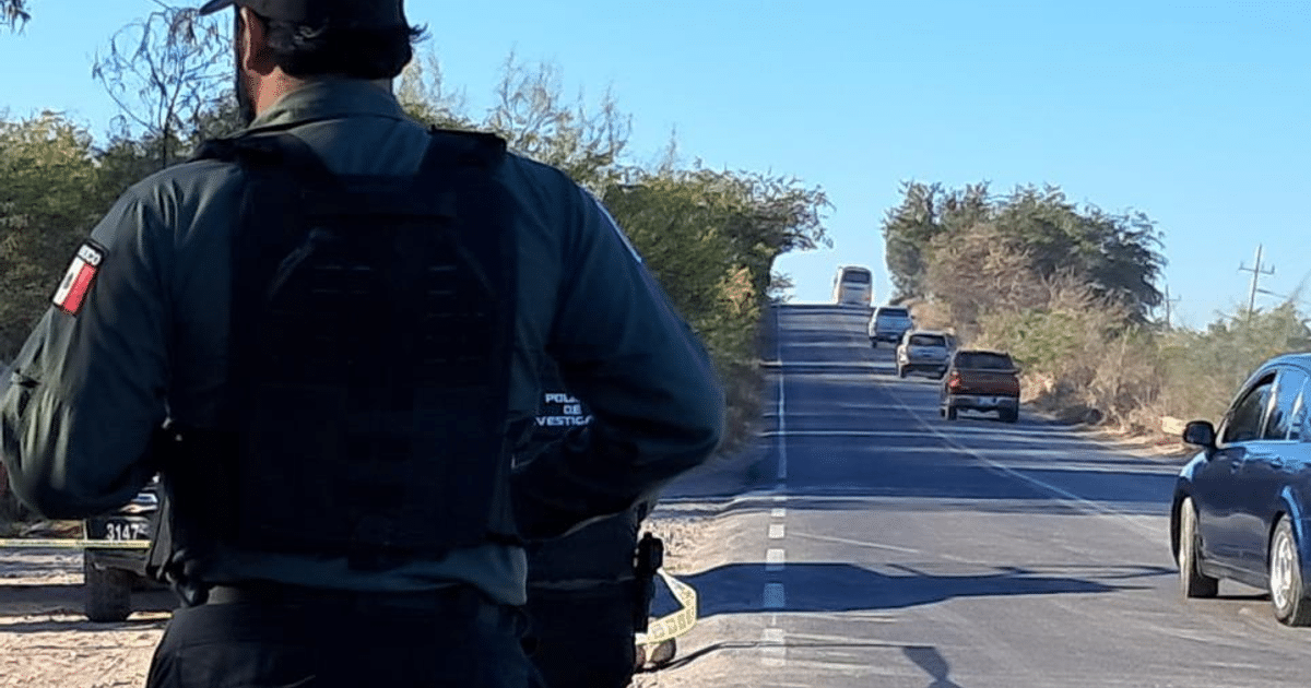 Oficial de policía de espaldas supervisando tráfico en carretera rural con vehículos al fondo.