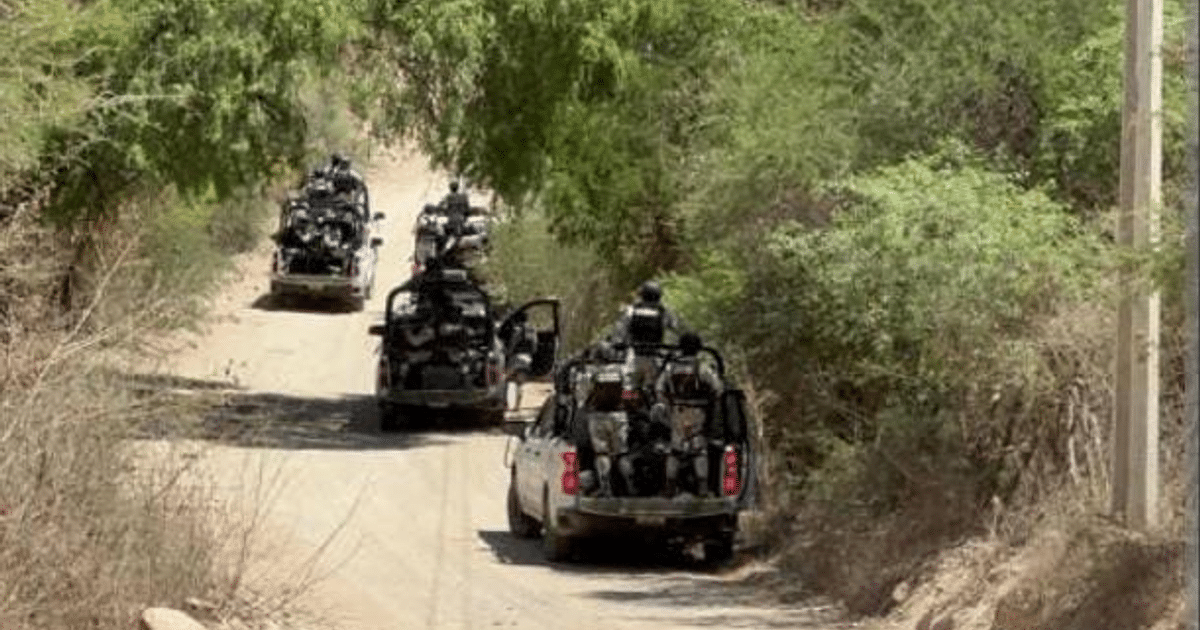 Vehículos en patrullaje en Choix, rodeados de vegetación, como parte del operativo de seguridad.