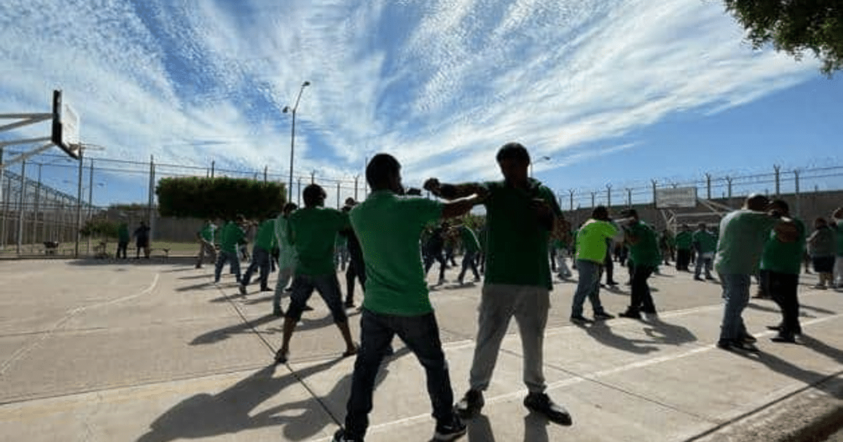 Grupo de personas en camisetas verdes participando en un evento deportivo al aire libre en una cancha de baloncesto, parte de la iniciativa Boxeando por la Paz en Sinaloa.