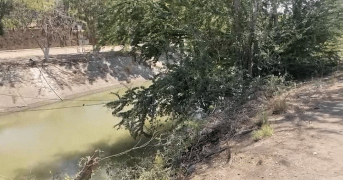 Vista del canal San Lorenzo en Culiacán con árboles y camino de tierra, lugar del hallazgo de un cadáver.
