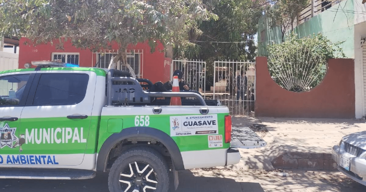 Camioneta de policía municipal estacionada en una calle urbana, relacionada con un caso de canibalismo canino en Guasave.