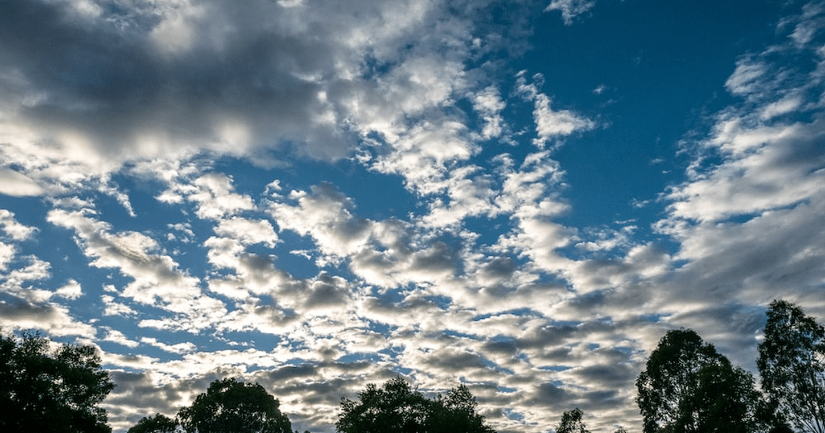 Cielo nublado con nubes blancas y grises sobre un fondo azul, con árboles en la parte inferior, representando el cambio climático en Sinaloa.