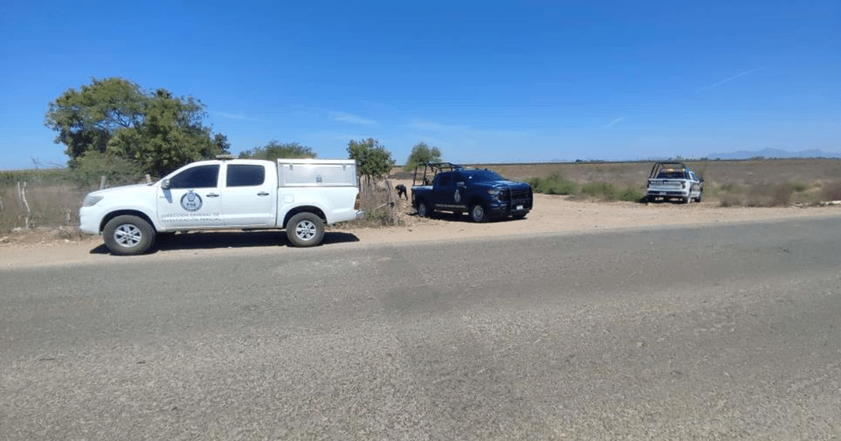 Dos vehículos, uno blanco y otro negro, estacionados junto a una carretera rural en Sinaloa, con un paisaje de campo y cielo despejado al fondo.
