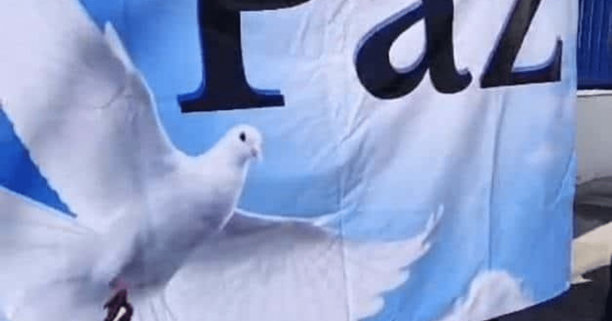 Letrero de Paz con paloma blanca volando sobre fondo azul, simbolizando la paz.