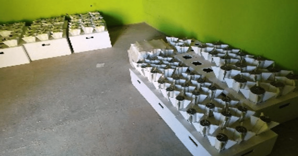 Cajas blancas con envases en operativo militar en Sinaloa