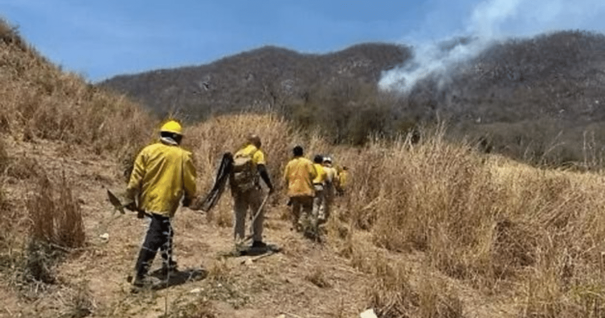 Brigadistas en ropa amarilla caminando por un área afectada por un incendio, con humo visible en el fondo.