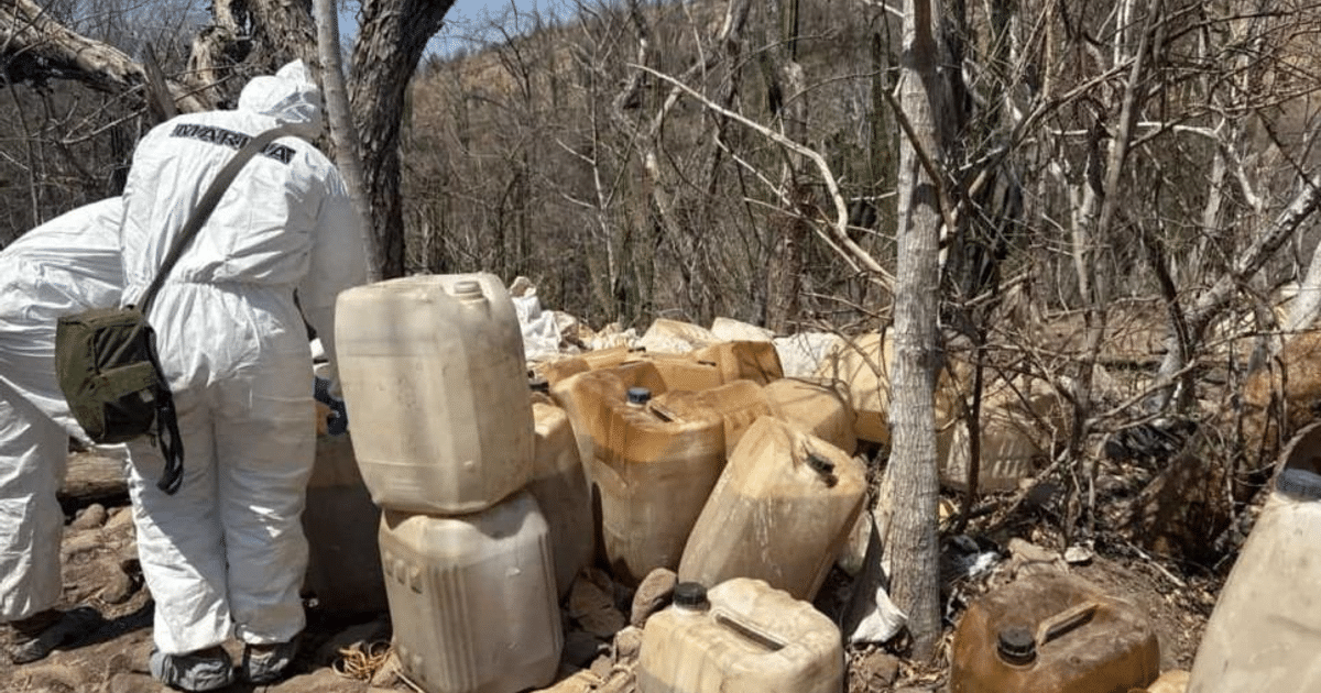 Personas con trajes de protección inspeccionan contenedores en un área forestal desolada, relacionado con un laboratorio clandestino en Culiacán.