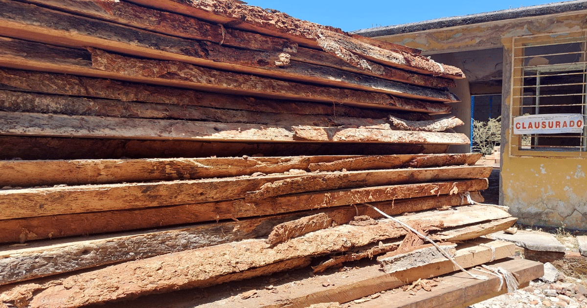 Pila de tablones de madera frente a un edificio clausurado en un día soleado.