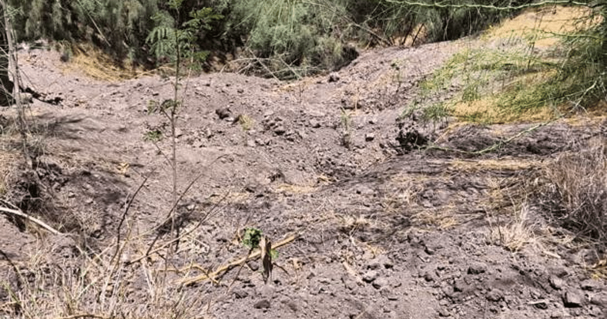 Terreno árido en Mezquitillo, Sinaloa, con suelo de tierra suelta y rocas, escenario de un hallazgo de restos humanos.