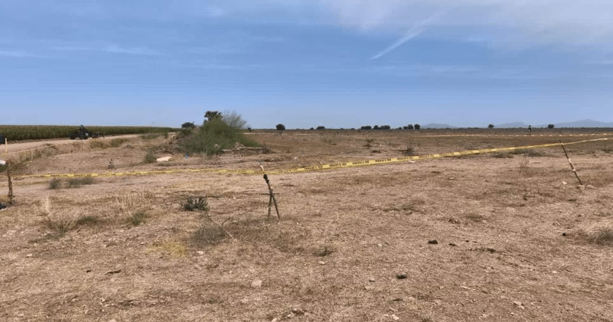 Paisaje árido con cinta amarilla de acordonamiento, arbustos y carretera al fondo bajo cielo azul.
