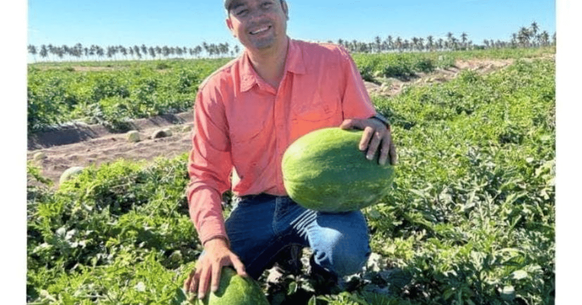 Persona sonriendo con sandías en un campo de Culiacán