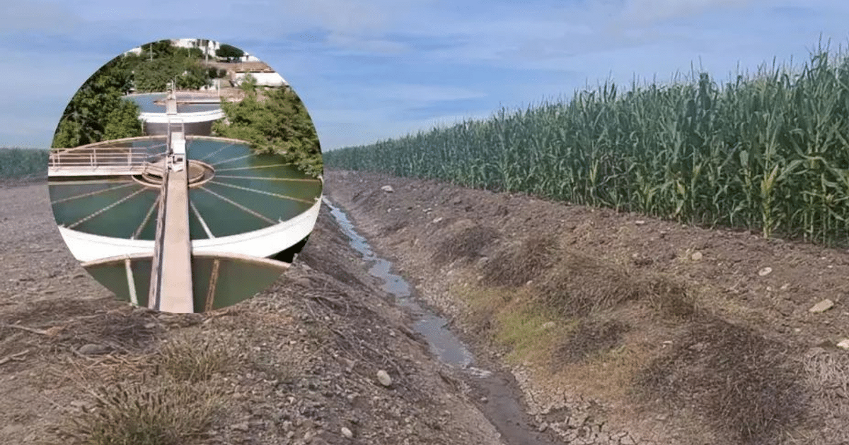 Paisaje rural con cultivo de maíz y estructura de tratamiento de agua en Sinaloa