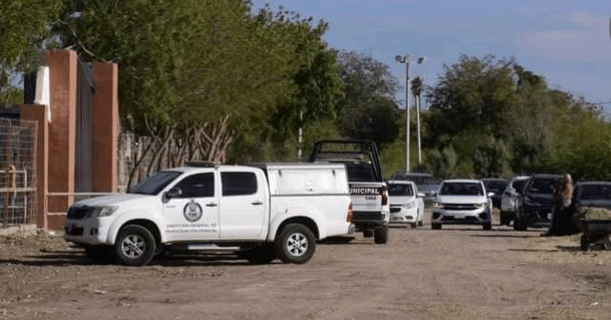 Vehículos estacionados en un área despejada, algunos con insignias municipales, en relación con el incendio en Ahome.