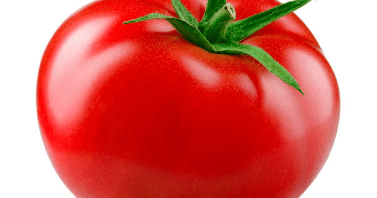 Tomate rojo fresco con hojas verdes, relacionado con aranceles a productos agrícolas mexicanos.