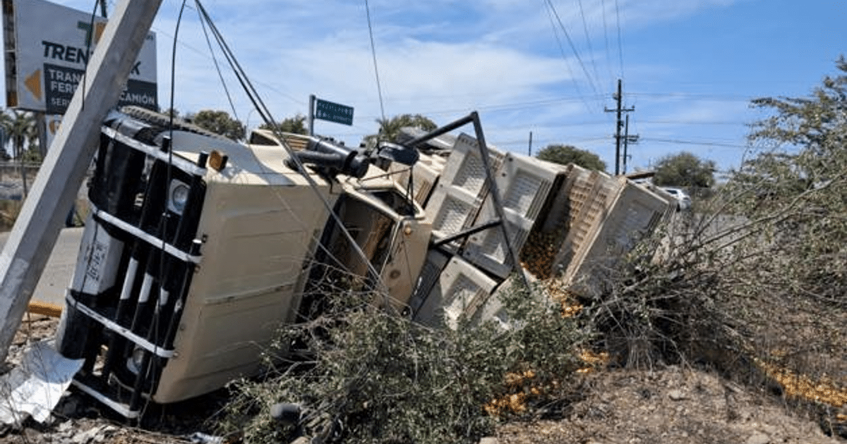 Camión volcado con tomates esparcidos en la carretera, cerca de postes de electricidad caídos.