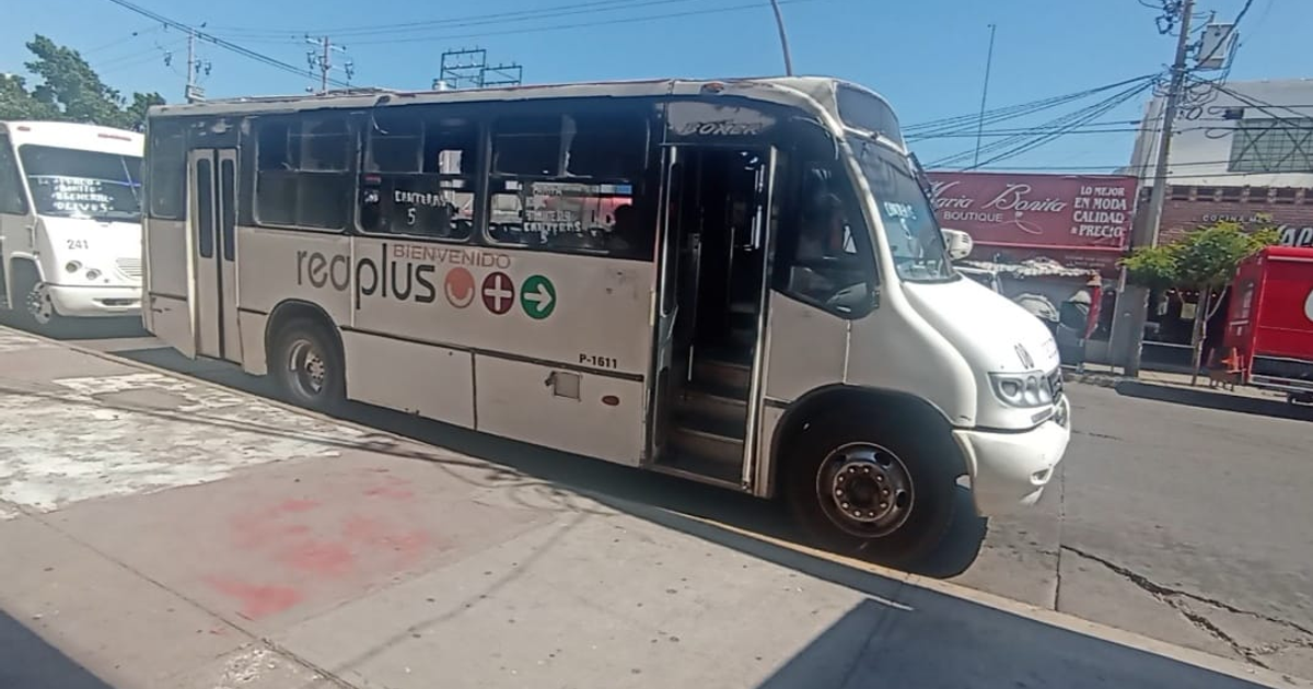 Dos autobuses blancos del sistema 'Red Plus' en una ciudad soleada, con edificios y árboles al fondo.