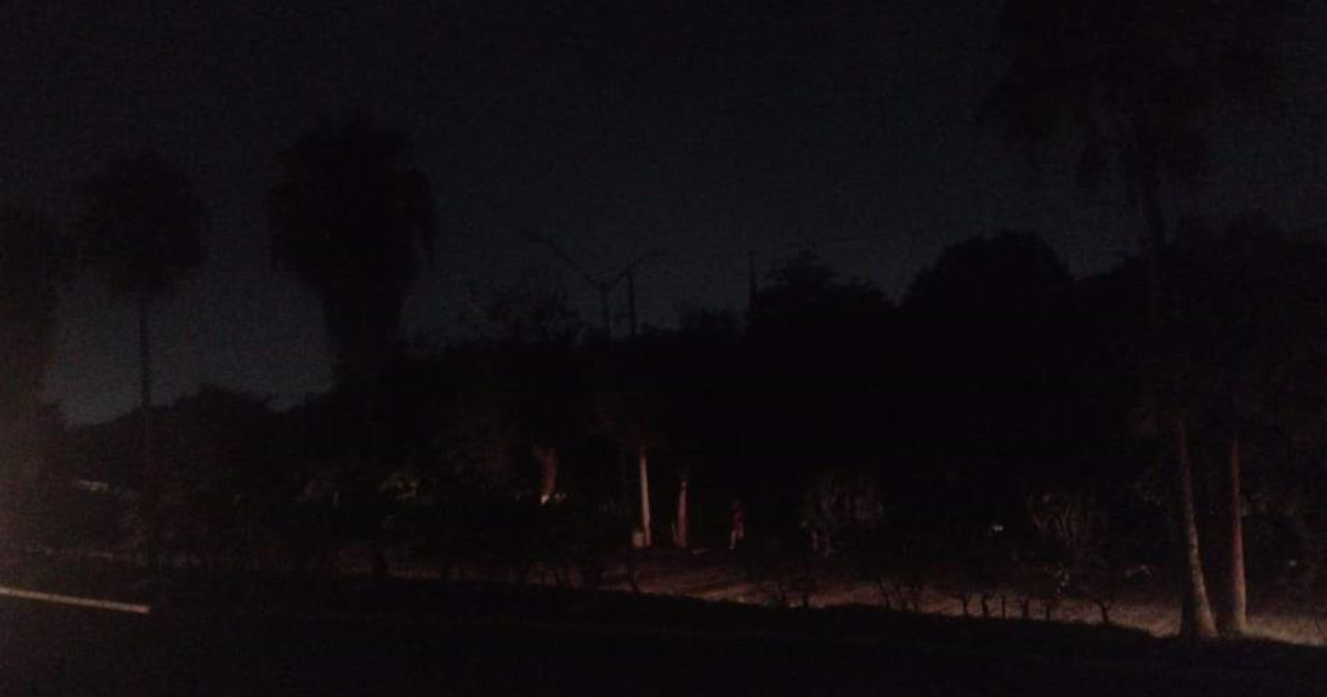 Siluetas de árboles en un paisaje nocturno oscuro durante un apagón en la colonia Scally.