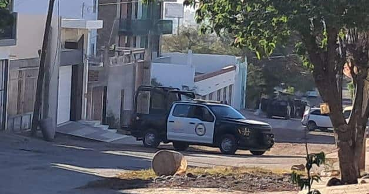 Calle residencial en Culiacán con un vehículo policial estacionado, edificios y un árbol en primer plano.