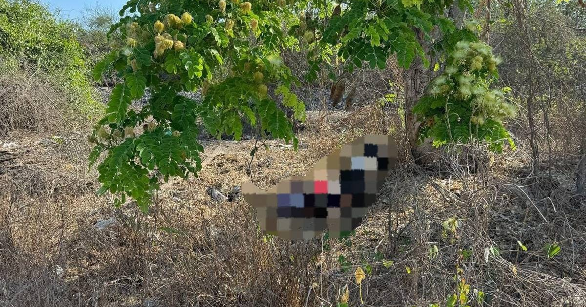 Escena del hallazgo de un cuerpo sin vida en Mazatlán, con presencia de autoridades y acordonamiento del área.