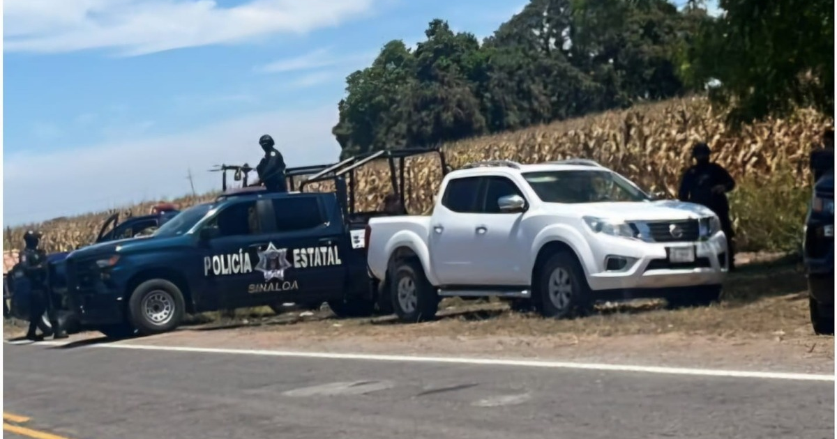 Operativo de seguridad en carretera con Policía Estatal Sinaloa y campo de maíz al fondo