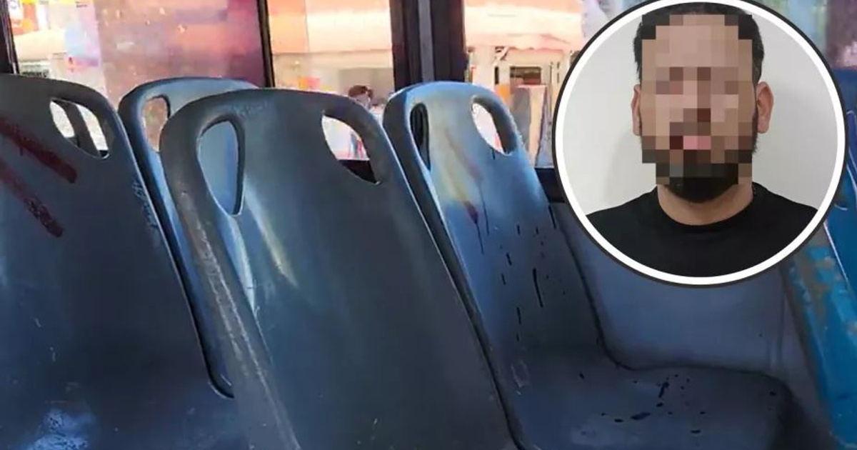 Interior de un camión urbano con asientos de plástico y una imagen de una persona en un círculo.