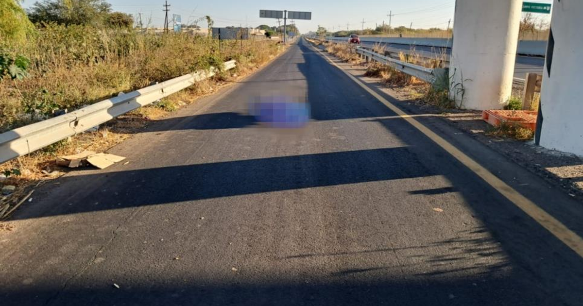Cadáver envuelto en lona azul y plástico negro bajo puente en carretera Culiacán-Eldorado