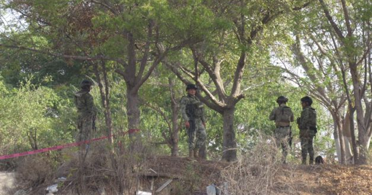 Soldados en operación de seguridad en bosque de Mazatlán tras hallazgo de cuerpo