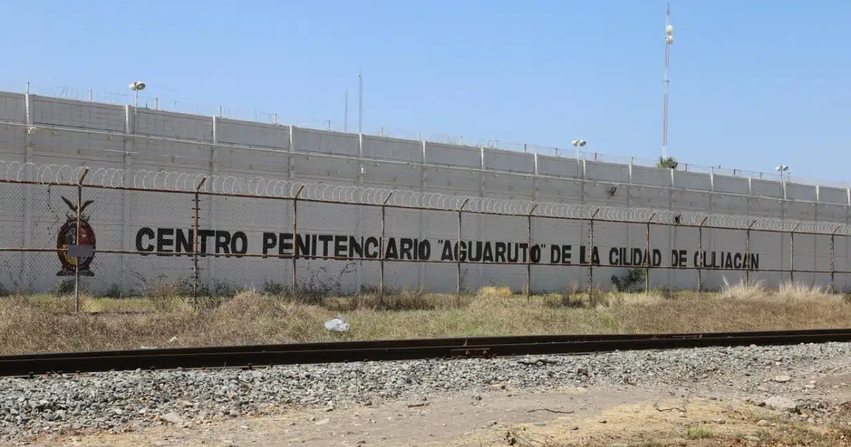 Pared del Centro Penitenciario Aguaruto con alambre de púas y vegetación en Culiacán