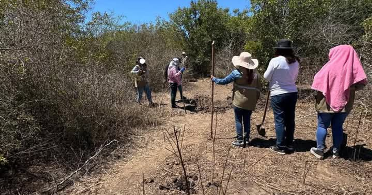 Personas colaborando en actividades de campo en Lomas de Monterrey, rodeadas de vegetación y usando herramientas.