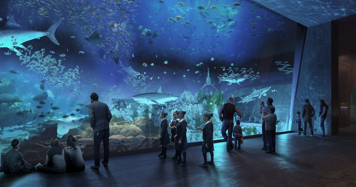 Visitantes observan tiburones en el Gran Acuario Mazatlán Mar de Cortés