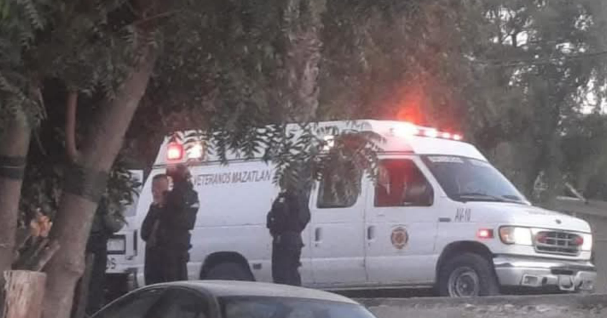 Ambulancia con luces de emergencia en Mazatlán, rodeada de personas y árboles.