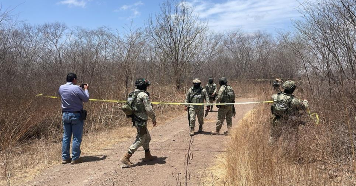 Agentes de seguridad en operativo en área boscosa de Culiacán, con cinta amarilla indicando área restringida.