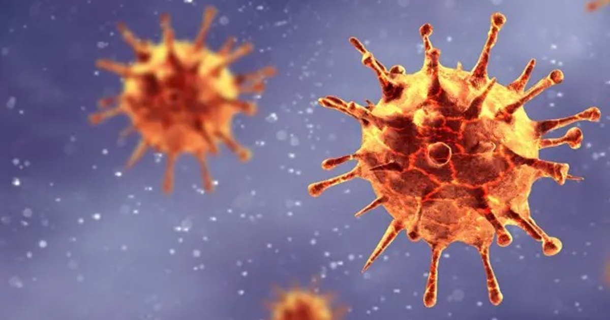 Representación gráfica de virus en un entorno abstracto, relacionada con la subvariante COVID NB.1.8.1.